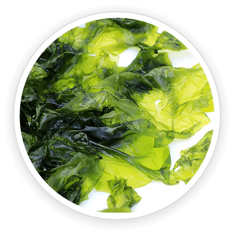 prostadine natural ingredient