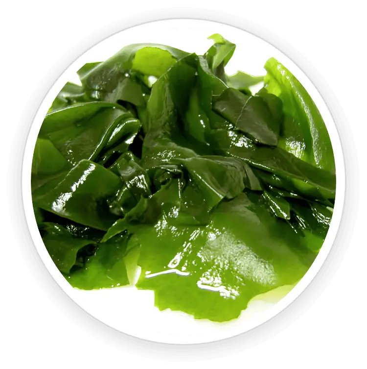 prostadine natural ingredient